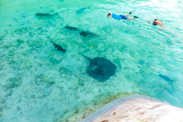 istock View of Maldives 1082754706