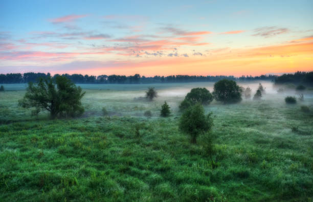 istock spring meadow. foggy morning in the river valley 1082763524