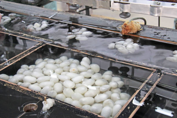 istock Silk factory in China 1082765900