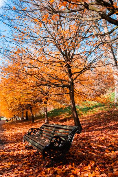 istock Bright orange autumn park in London 1082767214
