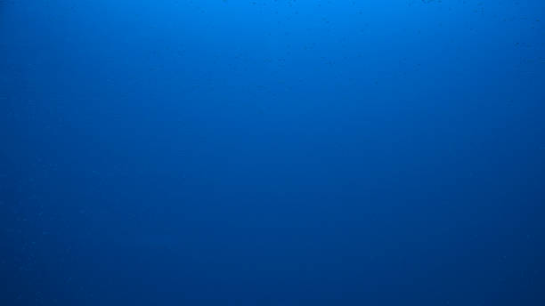 istock water texture in deep water Dark blue color and air bubbles 1082767832