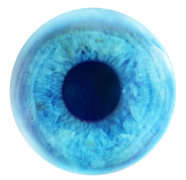 blue eye a blue eye isolated on white blue iris stock pictures, royalty-free photos & images