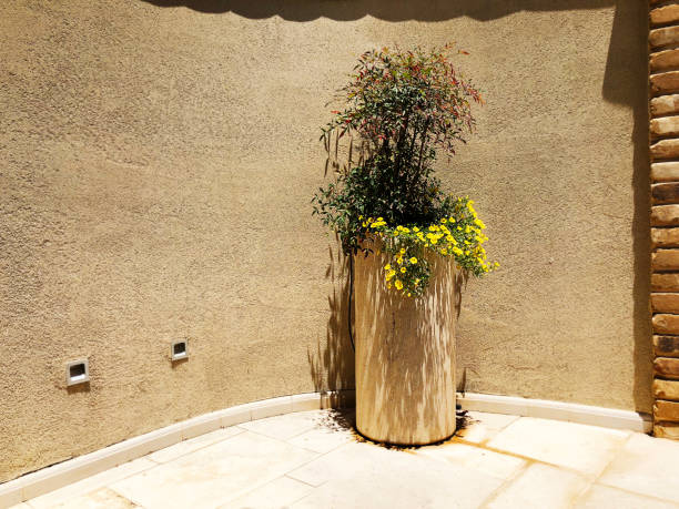 istock A column of flowers in front of a stone wall 1082781504
