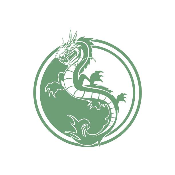 Dragon logo design vector Dragon logo design vector eps format martial arts stock illustrations