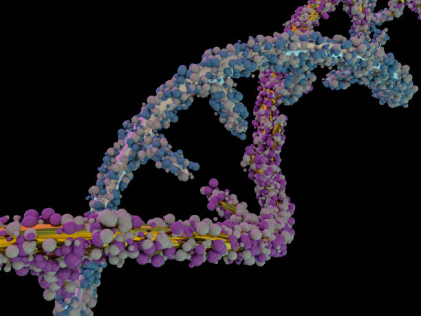 istock DNA molecule is located in front of a black background. Abstract collage. 3D 1082796964