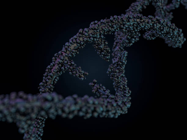 istock DNA molecule is located in front of a black background. Abstract collage. 3D 1082797004
