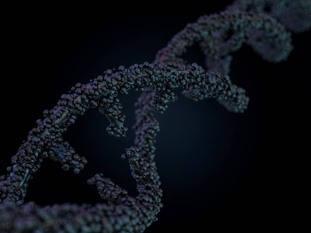 istock DNA molecule is located in front of a black background. Abstract collage. 3D 1082797032