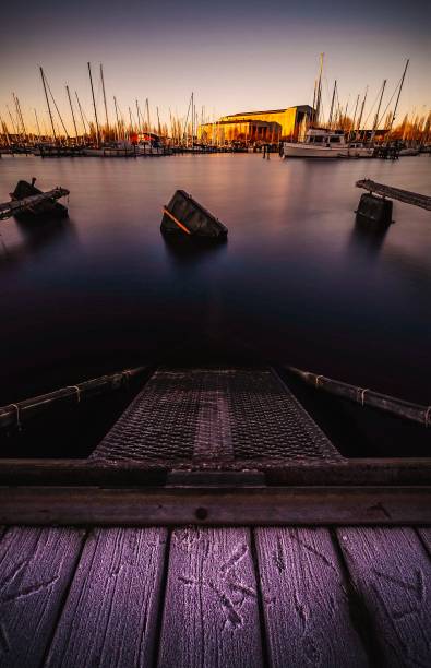 istock Depths of the sea 1082806062