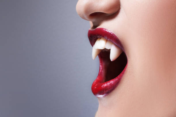 Sexy vampire. Women's lips with red lipstick. Screaming mouth with vampire fangs Sexy vampire. Women's lips with red lipstick. Screaming mouth with vampire fangs, copy space vampire woman stock pictures, royalty-free photos & images