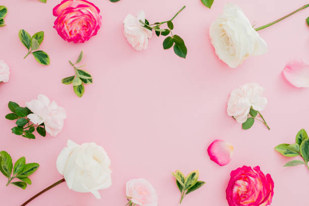 istock Floral frame composition with white and red roses flowers on pink background. Flat lay, top view. 1082823780