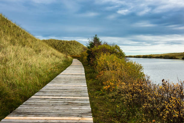 istock Lake on the North Sea island Amrum, Germany 1082824268