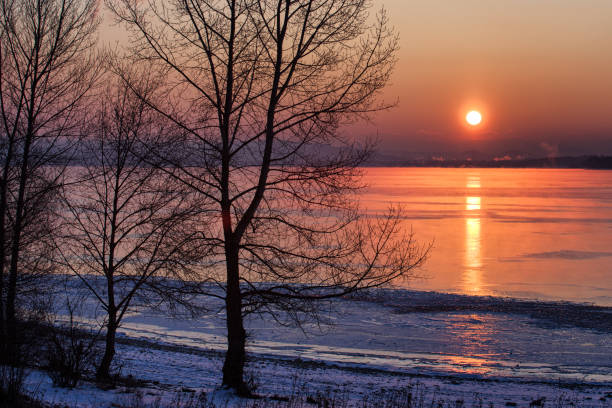 istock Colorful sunrise over tree and lake 1082826346