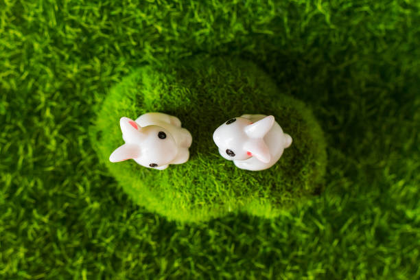 bunnies on the hill. close-up figures