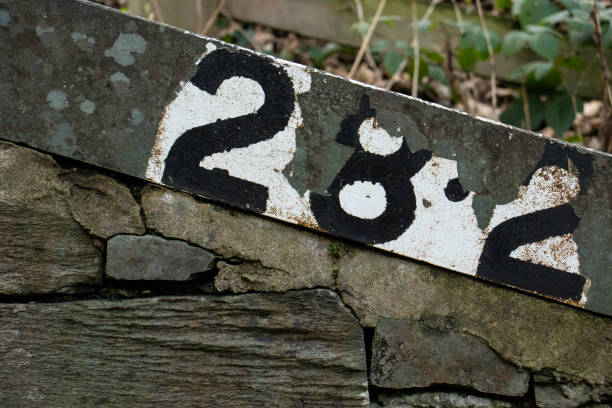 Black Number 282 Painted on a Wall