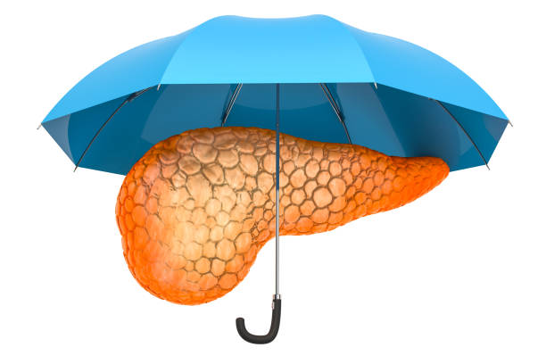 istock Human pancreas under umbrella, protect concept. 3D rendering isolated on white background 1082839994