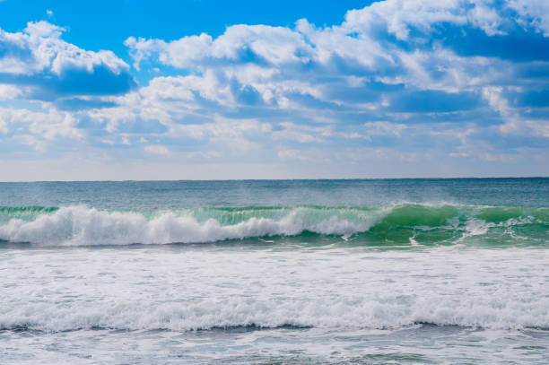 Sea waves coming on coastline