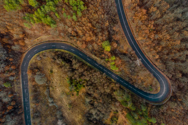 istock An Aerial Road Trip - forest with curved road 1082853002