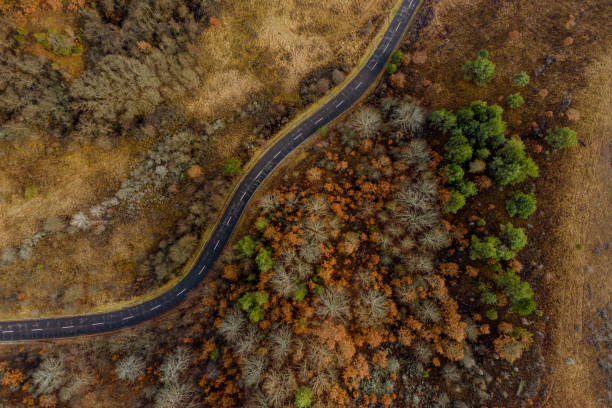 istock An Aerial Road Trip - forest with curved road 1082853016