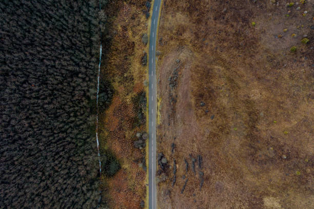 istock An Aerial Road Trip - forest with curved road 1082853040