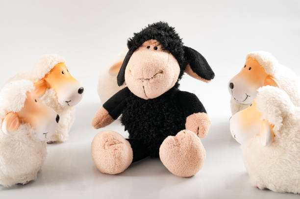 istock Concept for standing out, being different, racial diversity and ethnic divide, being excluded  and racism  with a toy black sheep surrounded by a flock of white sheep 1082854442