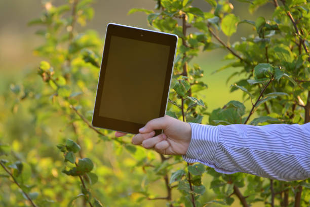 istock Tablet computer in  children's hand on natur 1082855664