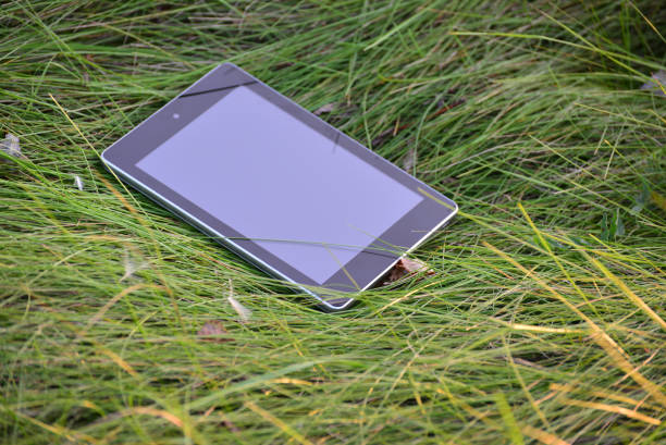 The plate lies on the grass in the summer