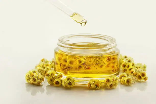Photo of Helichrysum (Immortelle) Essential Oil