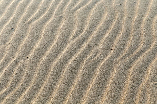 istock Texture of river sand on the Volga beach. 1082859542