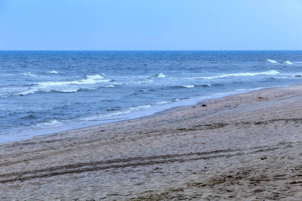 istock Beautiful seascape on the Baltic Sea coast in spring. 1082860294