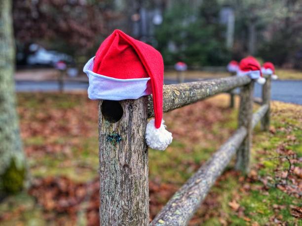 istock Outdoor Christmas Decorations Santa Hats 1082867412