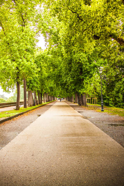 istock Road in the park 1082869958