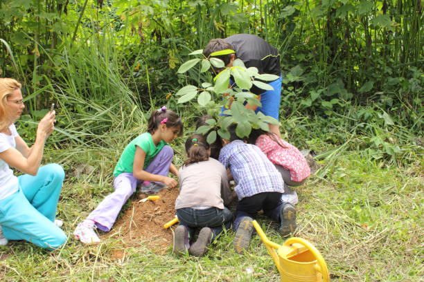 enfants, plantation d’un arbre sur le jour de la terre - tree grass family human relationship family photos et images de collection