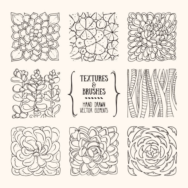 ilustrações, clipart, desenhos animados e ícones de botânicos mão desenhadas texturas, pinceladas. coleção de modelo de design artístico. abstract vector clipart conjunto isolatad em fundo branco. - abstract backgrounds botany cactus