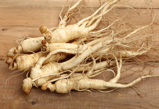 ginseng frais - ginseng photos et images de collection