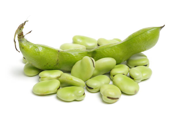 istock Green fava beans separated on white background 1082899968