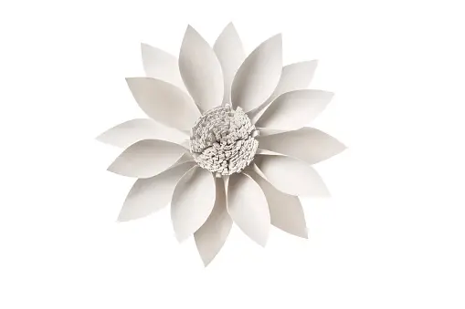30,000+ Paper Flower Pictures  Download Free Images on Unsplash