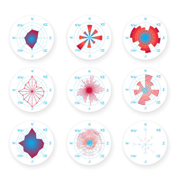 istock Meteorological graphic wind rose chart set, compass rose. Rose of the Wind for scientific materials and infographic design 1082907606