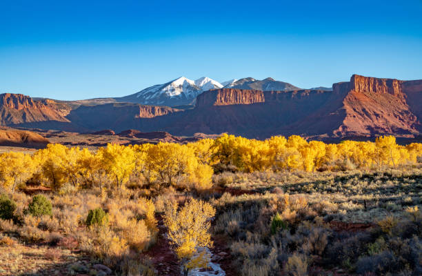 istock Fall Colors In Castle Valley, UT 1082911734