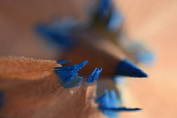 Pencil sharpeners around a colored pencil