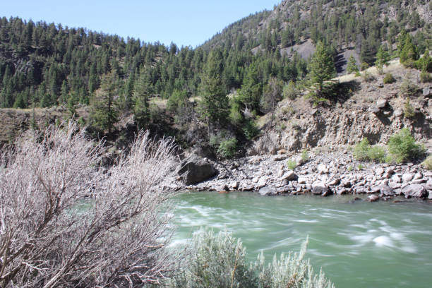 istock Amazing rapids in Gallatin River in Montana 1082920868