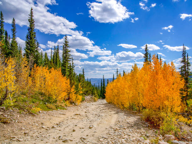 Fall Colors at Lake Lommond, Colorado