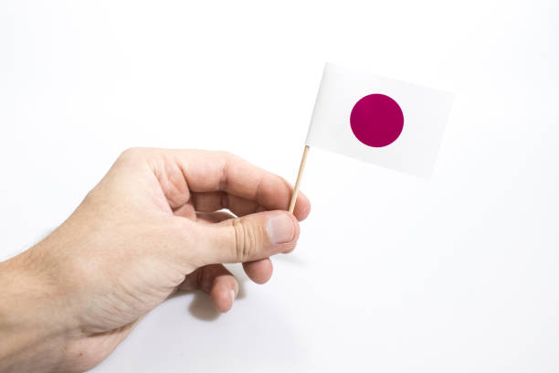Hand is holding japan flag isolated in a white background composition