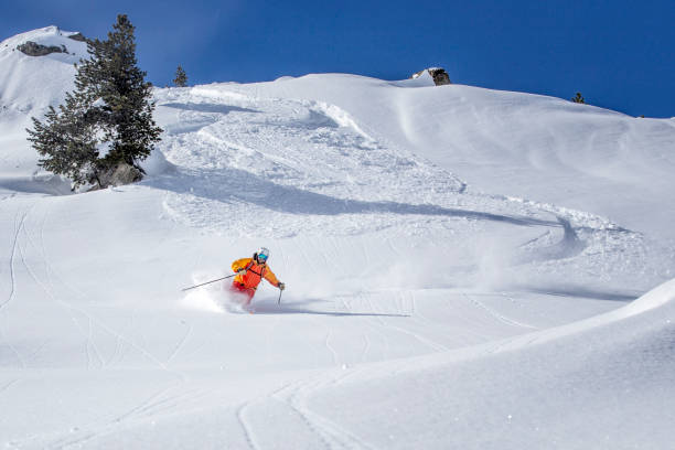 freeride ski na neve profunda em pó - freeride - fotografias e filmes do acervo