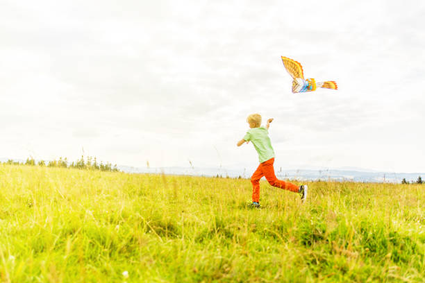 istock Boy in the meadow fly kites 1082948166