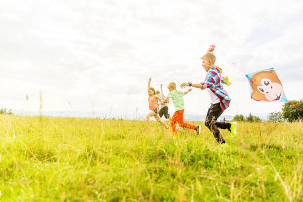 istock Sibling fly kites in the meadow 1082948216