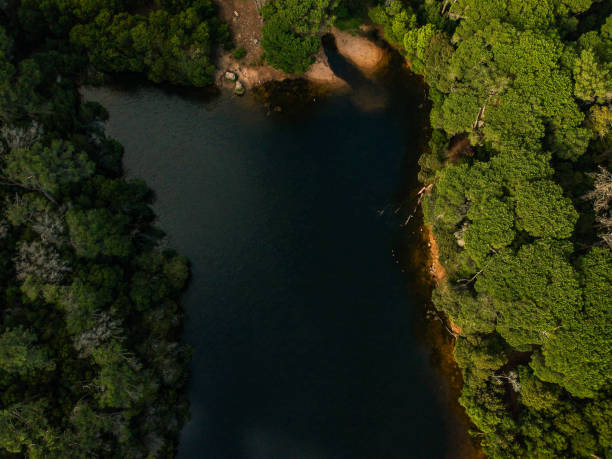 istock Aerial top view from a lake surrounded by trees 1082948926