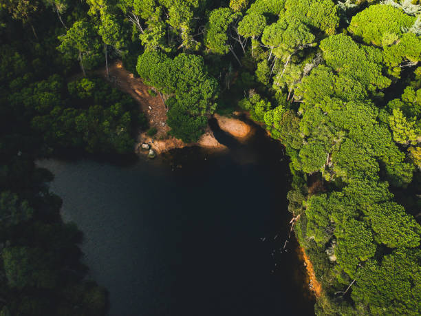 istock Aerial top view from a lake surrounded by trees 1082949132