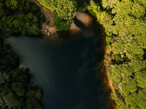 istock Aerial top view from a lake surrounded by trees 1082949346