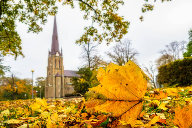 Church low perspective with leafs in foreground