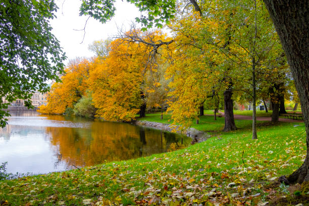 istock Autumn trees by lake 1082953644